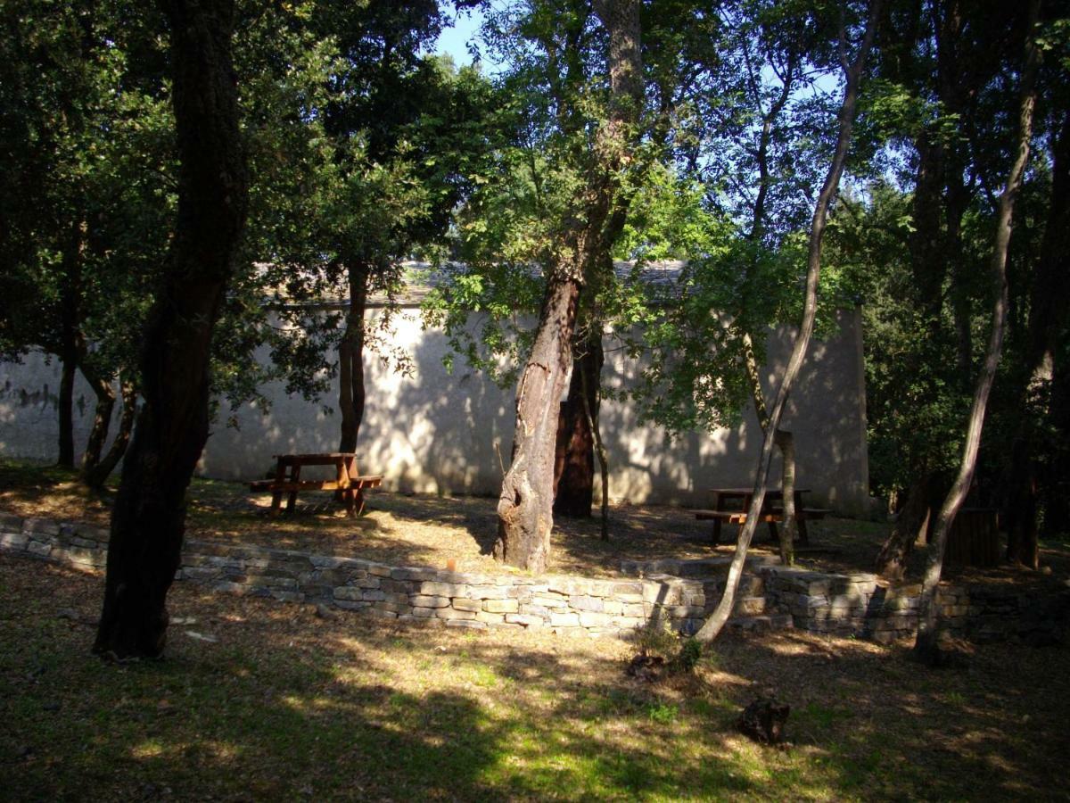 Sole E Ventu 50Qm Apartment San-Giovanni-di-Moriani Екстериор снимка